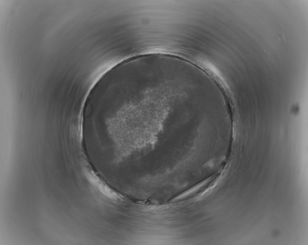 X0000093720892200710231130