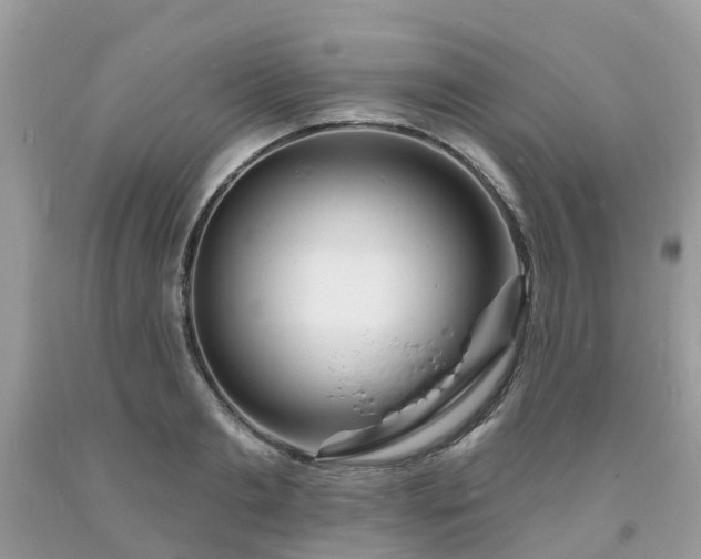 X0000093720893200710231130