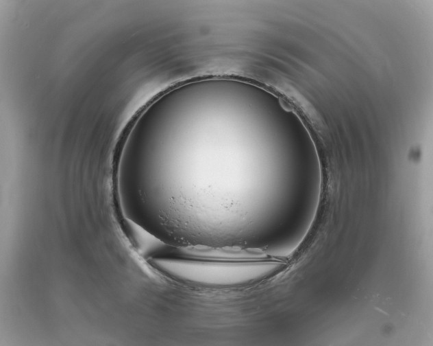 X0000093720894200710231130