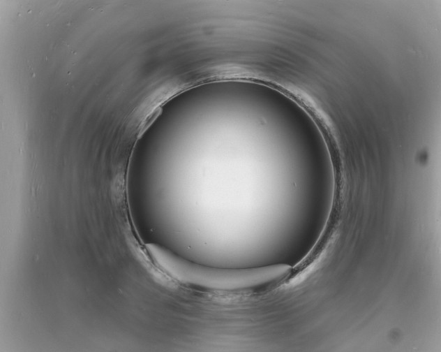 X0000093720897200710231130