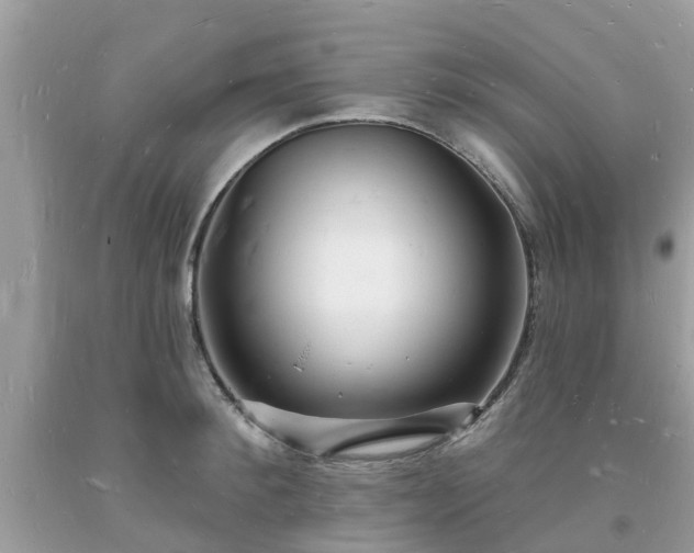 X0000093720900200710231129