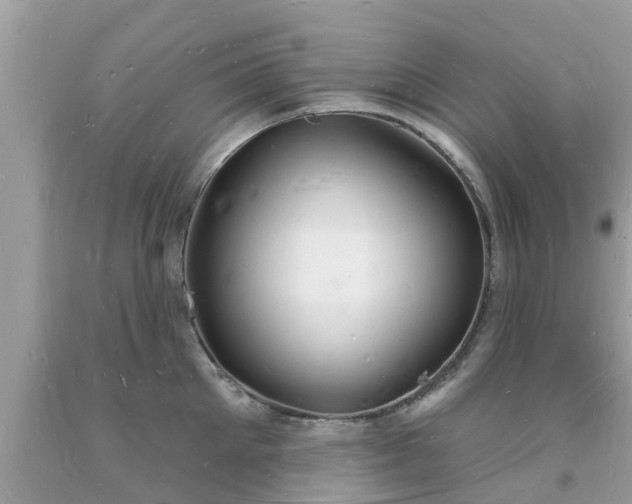 X0000093720905200710231129