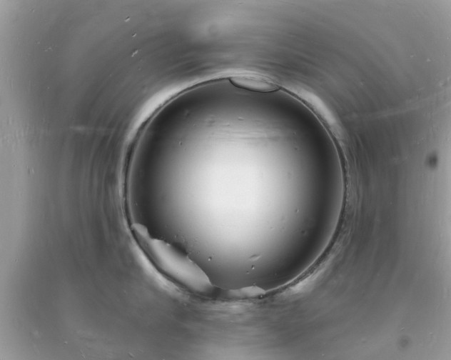 X0000093720910200710231129
