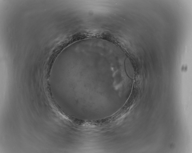 X0000093720913200710231129