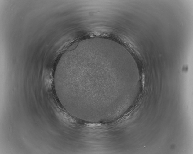X0000093720915200710231129