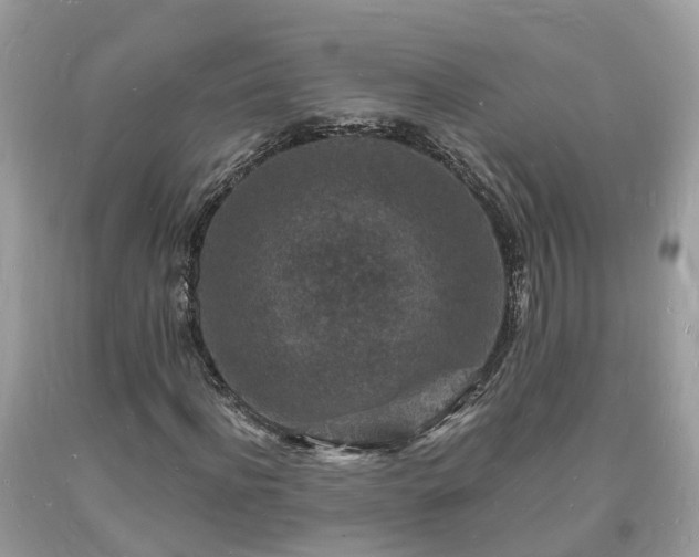 X0000093720916200710231129