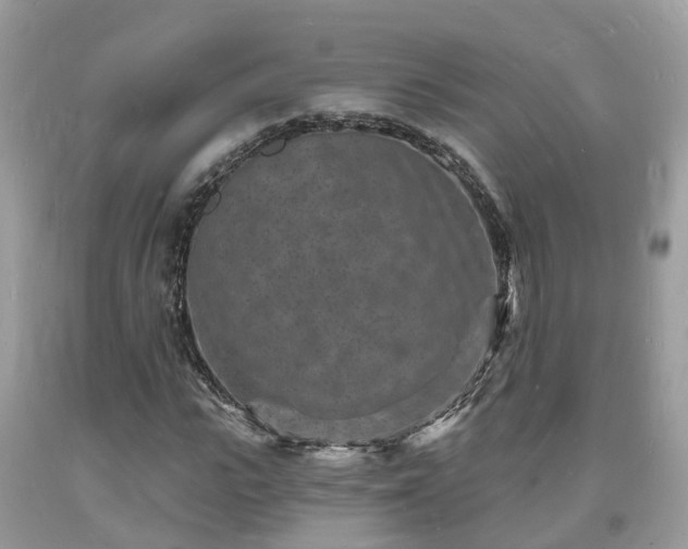 X0000093720919200710231129