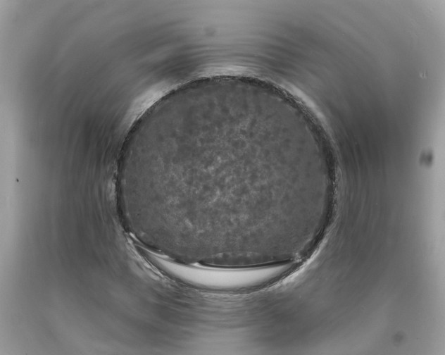 X0000093720921200710231129