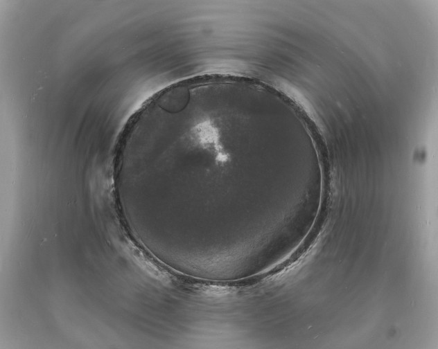 X0000093720923200710231129