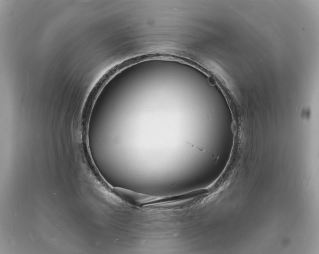 X0000093720924200710231129