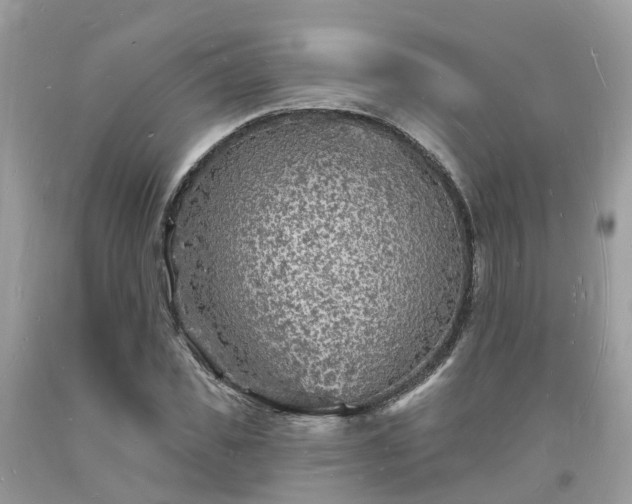 X0000093720925200710231129