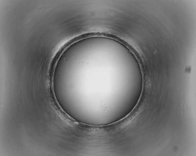 X0000093720927200710231129