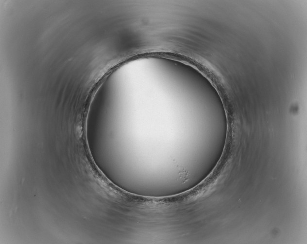 X0000093720929200710231129