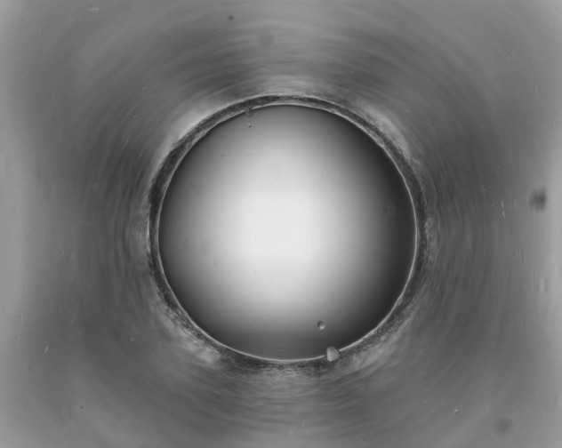 X0000093720931200710231129