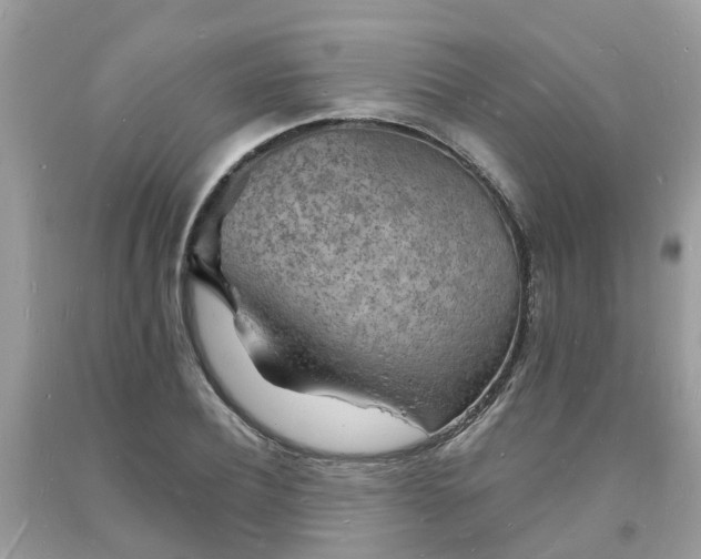 X0000093720932200710231129