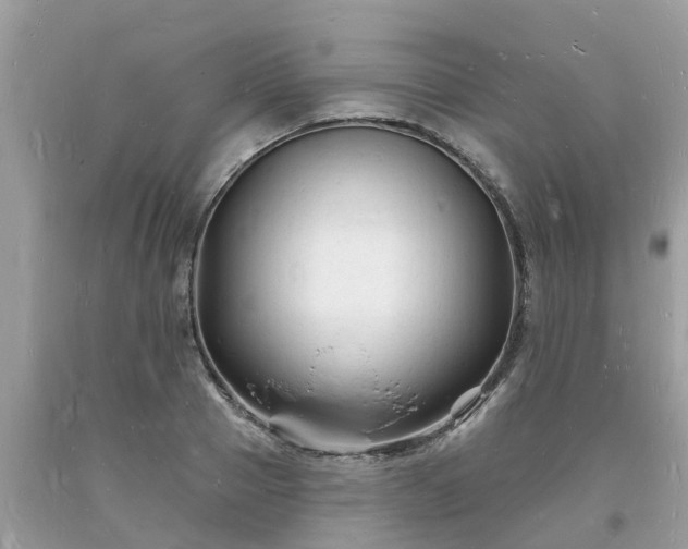 X0000093720937200710231129