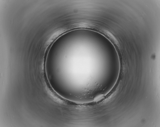 X0000093720938200710231129