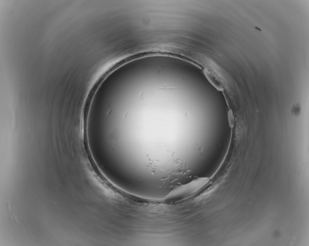 X0000093720940200710231129