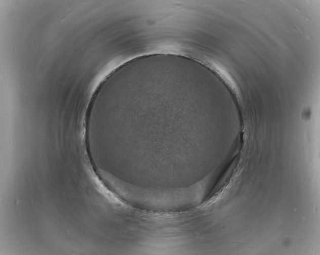 X0000093720944200710231129