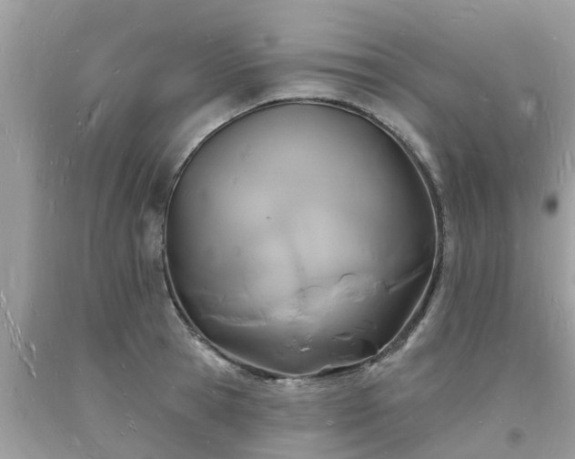 X0000093720945200710231129