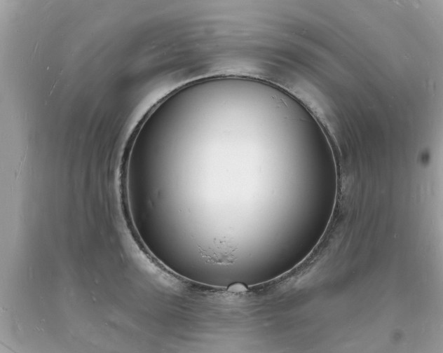 X0000093720947200710231129