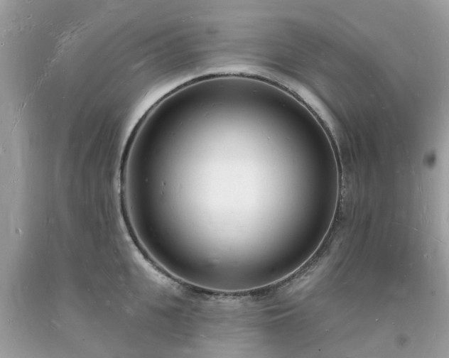 X0000093720951200710231129