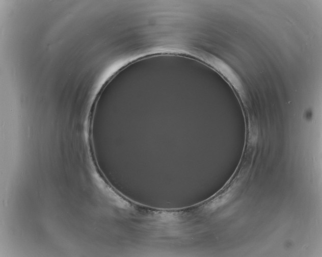 X0000093720958200710231129