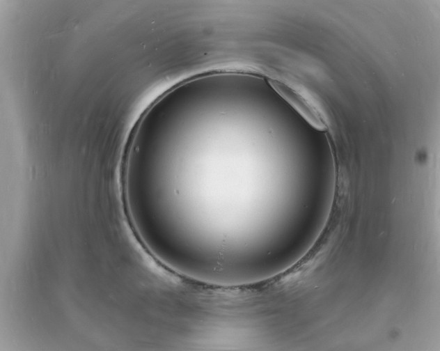 X0000093720959200710231129