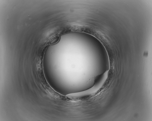 X0000093720964200710231129