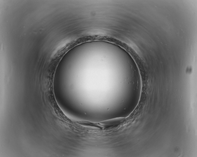 X0000093720967200710231129