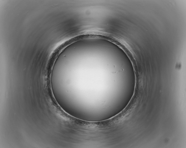 X0000093720971200710231129