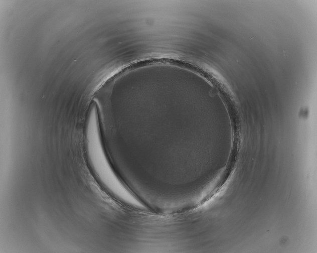 X0000093720977200710231129