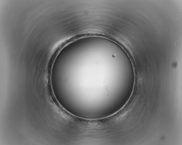 X0000093720979200710231128