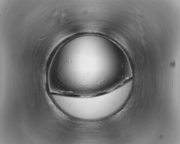 X0000093720984200710231128