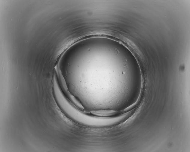 X0000093720985200710231128