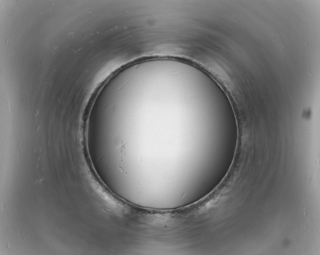 X0000093720990200710231128