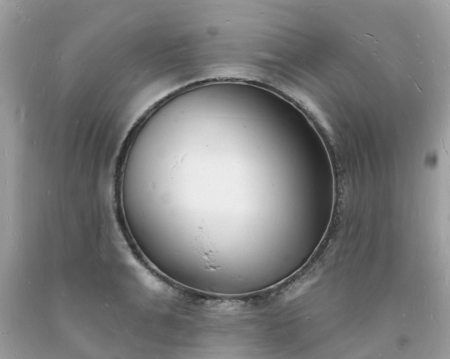X0000093720991200710231128