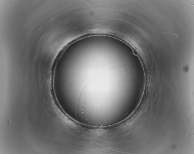 X0000093720992200710231128