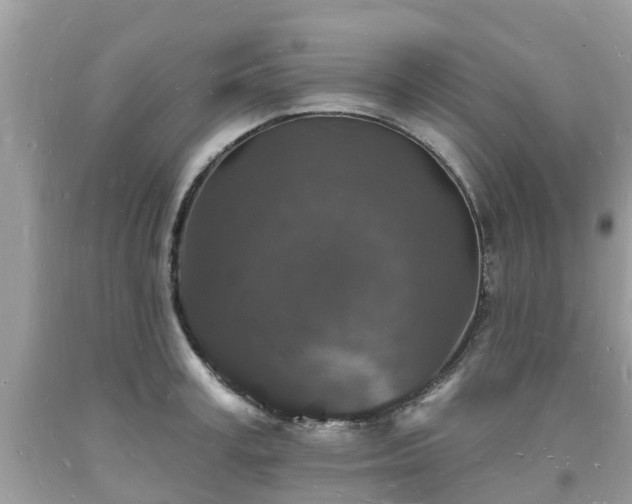 X0000093720995200710231128