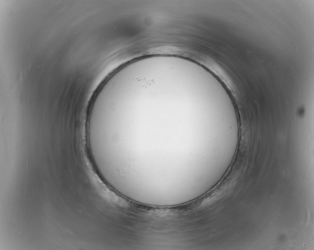 X0000093721000200710231128