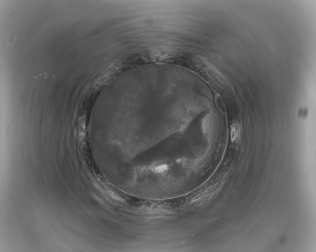 X0000093721011200710231128