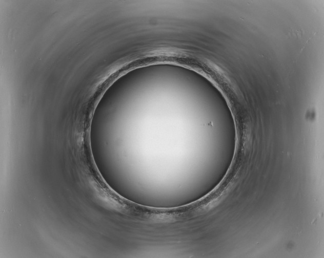 X0000093721017200710231128
