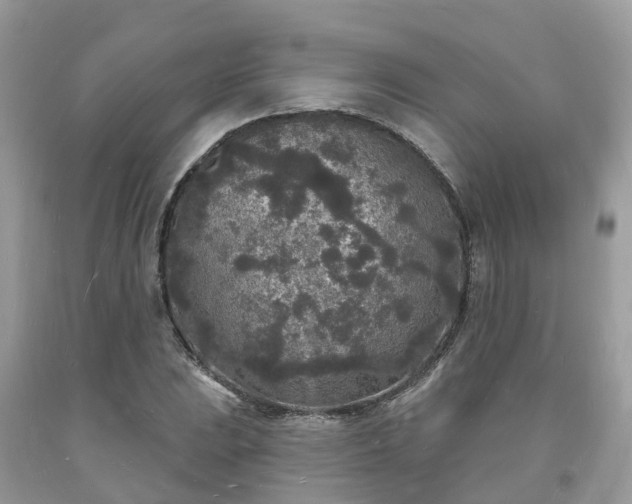 X0000093721023200710231128