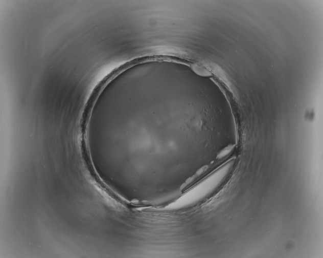 X0000093721024200710231128