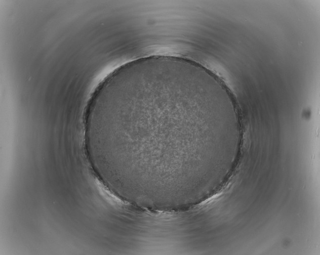 X0000093721027200710231128