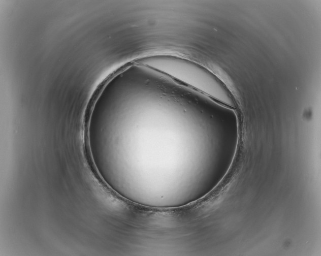 X0000093721028200710231128
