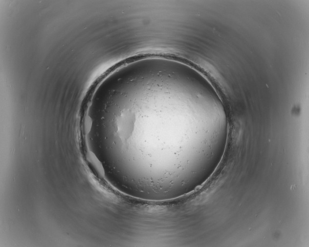 X0000093721030200710231128