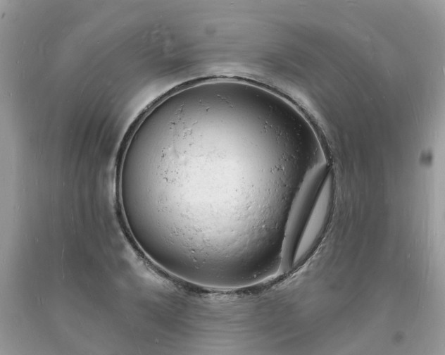 X0000093721032200710231128