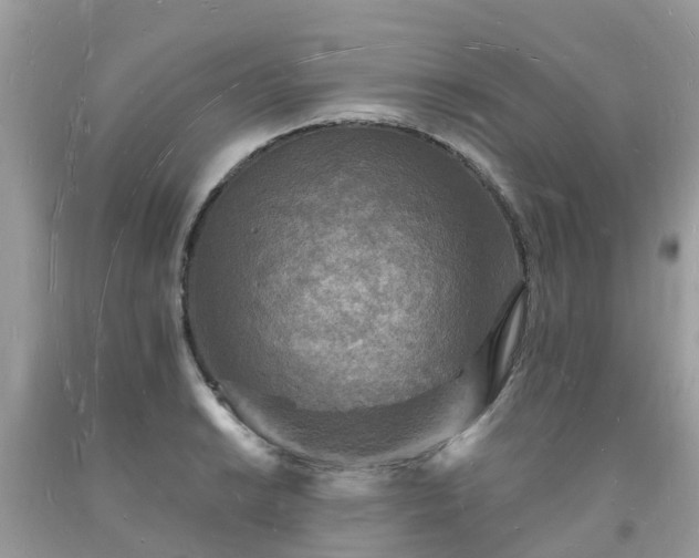 X0000093721038200710231128
