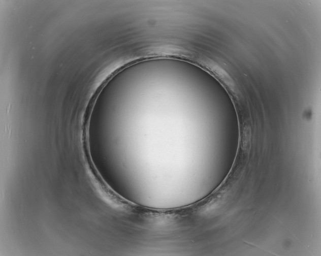 X0000093721039200710231128